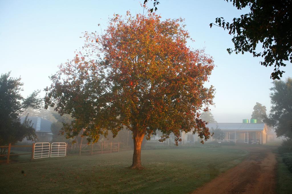 دندي Sneezewood Farm Bed&Breakfast And Self-Catering Cottage المظهر الخارجي الصورة