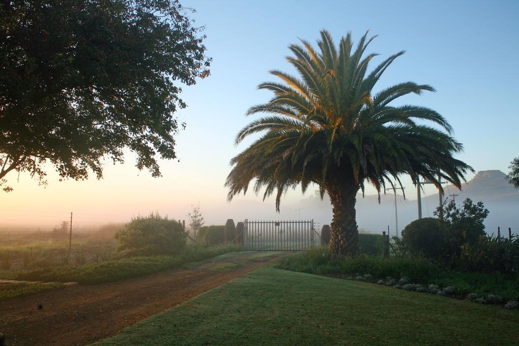 دندي Sneezewood Farm Bed&Breakfast And Self-Catering Cottage المظهر الخارجي الصورة